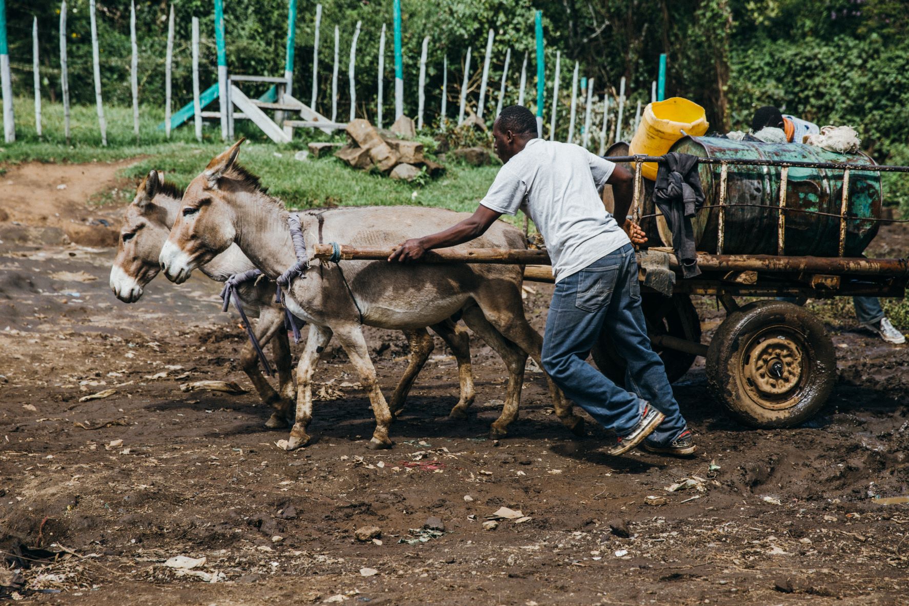 PAD Conference – Donkeys in Africa Now and in the Future